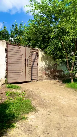 #foryoupage❤️❤️ 