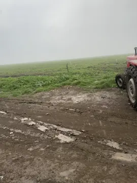 #سوادنيز_تيك_توك_مشاهير_السودان #تيوتا_شعار_لايعرف_القانون🔥🖤💪 #سمسم_السودان🇸🇩 #خريف_2025