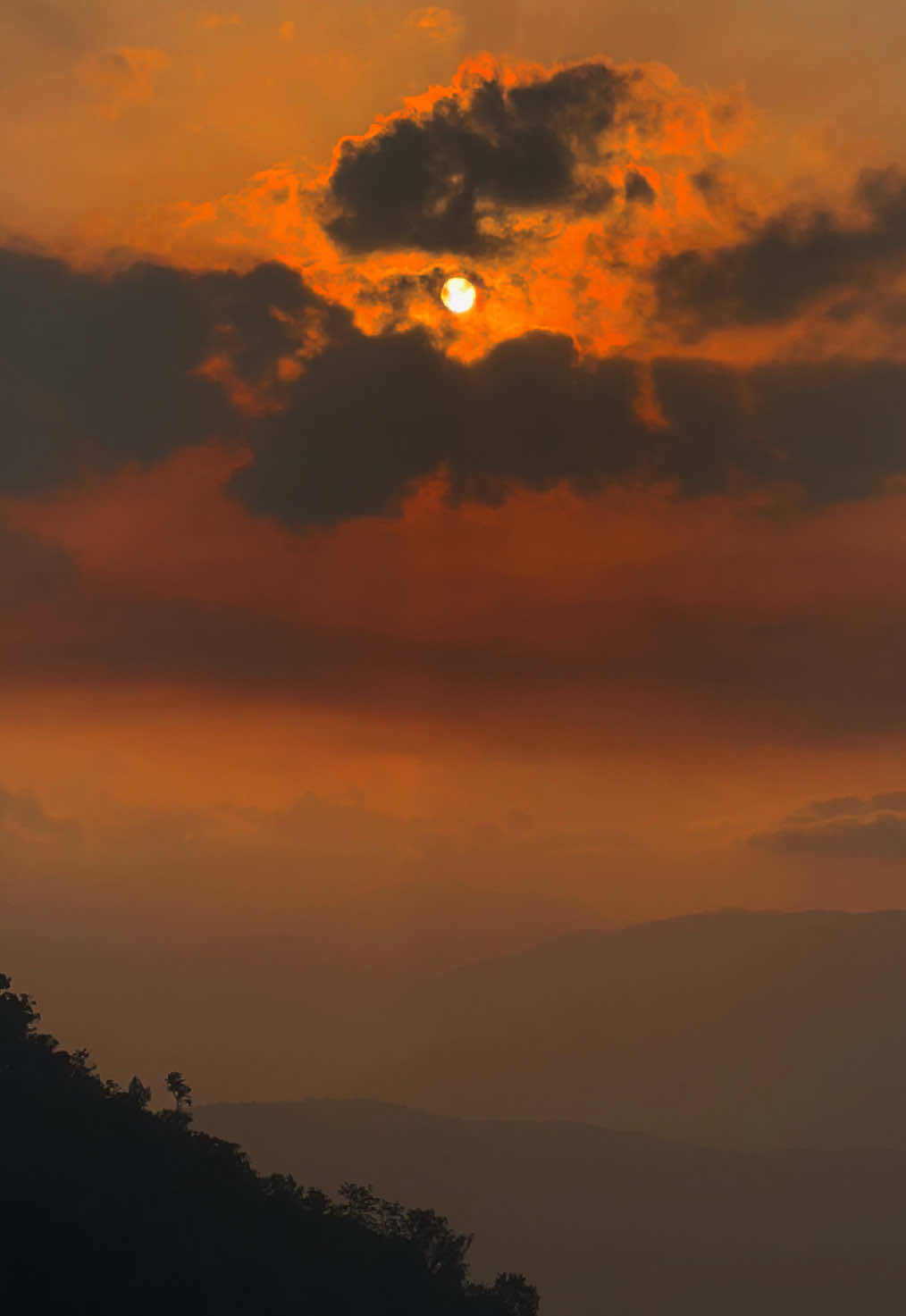 🤍❗️ #haridu #evening #backgroundvideo #clouds #sunset 