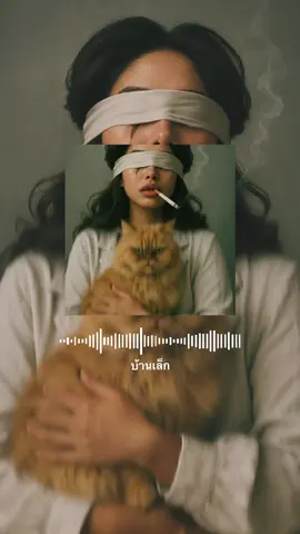 บ้านเล็ก - demo