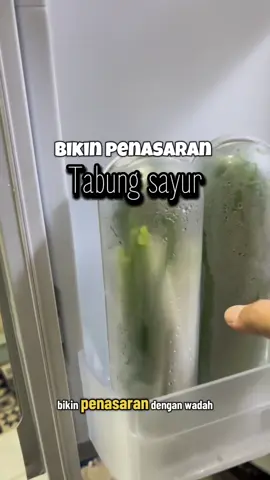 Bismillah , Bikin penasaran ,akhirnya terbukti ,wadah tabung sayur ini bisa tahan simpan sampai dua pekan lebih yuuk samaan #iburumahtangga #perkakas #wadahpenyimpanansayur 