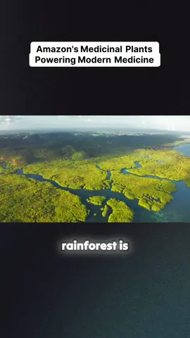 Amazons medicanal plants powering modern medicine #nature #wildlife #medicine 