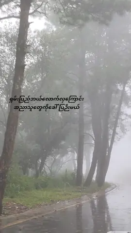 #Shan #Taunggyi#ချယ်ရီ