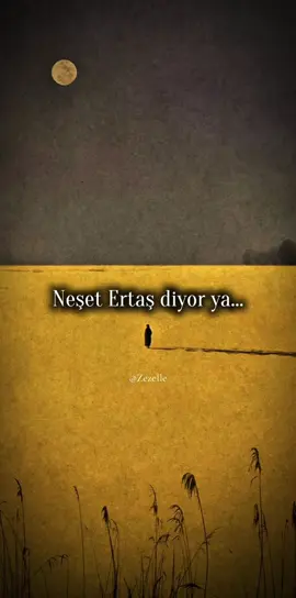 Dünyayı gönlümce olacak sandım 🥀#dünya #gönül #neşatertaş #fppppppppppppppppppp #keşfet @Zezeİle@ne_idugubelirsiz 
