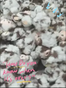 We only craft Labubu of the highest quality. 📷DM  me to order  #popmart #themonsters #labubu #arttoys #blindbox#bigintoenergy #labubumacaron #labubuthailand#labubuph #labubuphilippines #labubujakarta #labubuthemonsters #labubupopmart #labubuootd#labubuoutfit #labubuclothes