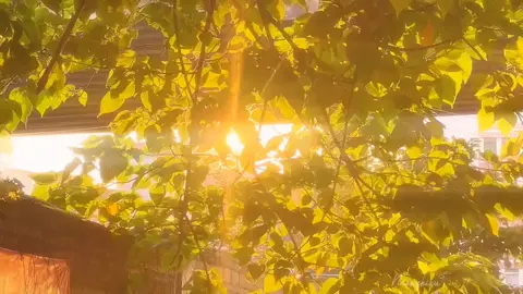 人生的路总是曲曲折折的，每一个人都有不同的痛苦经历! Đường đời luôn quanh co, mỗi người đều phải trải qua những đau khổ không giống nhau. #yenbinh #thiennhien #chualanh 