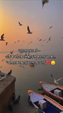 ভালো থেকো এই কথা টার পিছনে আছে আমাকে ছেড়ে যেও না  #newtrend #foryoupage #emotional #Sad #captionvidoeo 