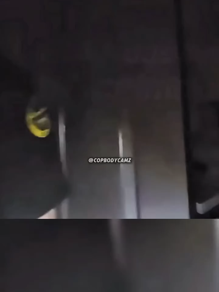 Check out #copbodycamz