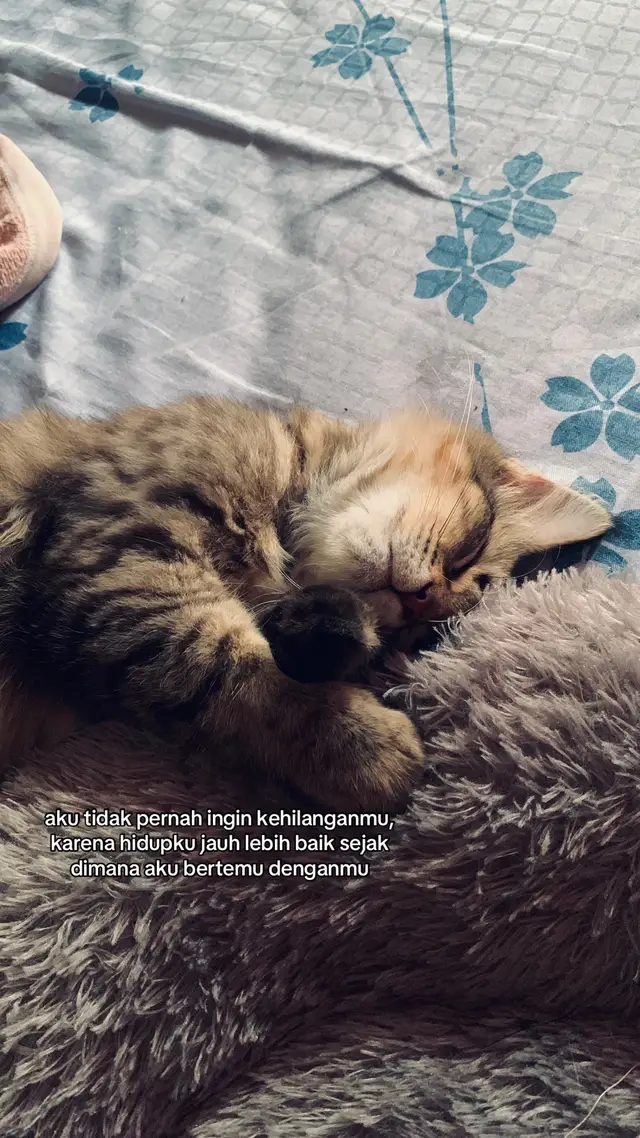 #fyppppppppppppppppppppppp #fypage #quotes 