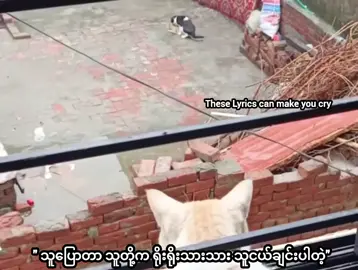 #ယုံပါတယ် ယုံပါတယ် ဘယ်သူဘာပြော