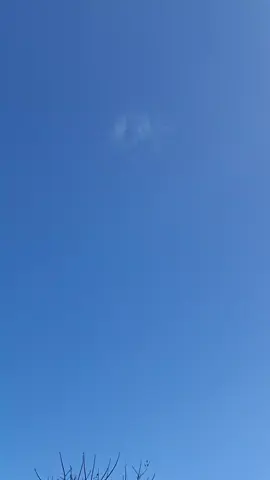 #bawang #mania #mulehbuk