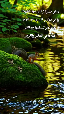 #كل_نفس_ذائقةالموت #rypシ #ry #قران_كريم #اسلام_صبحي @سعد الغامدي @تغطيات عالي حمود | AALI.HAMOUD @القارى بلال دربالي @منصور السالمي ✪ @ذِكر @رمـ༈ۖ҉ـاد 🖇 