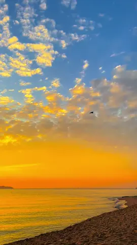 Mana orang orang luar yang tak puas lagi bercuti kat Terengganu tu. Nanti datang lah lagi yee. 🥰 Negeri kami biase biase je, kalau pagi view macam gni jelah.. 👉👈🤭 #beautifulterengganu #terengganu #sunrise #trending #fyp 