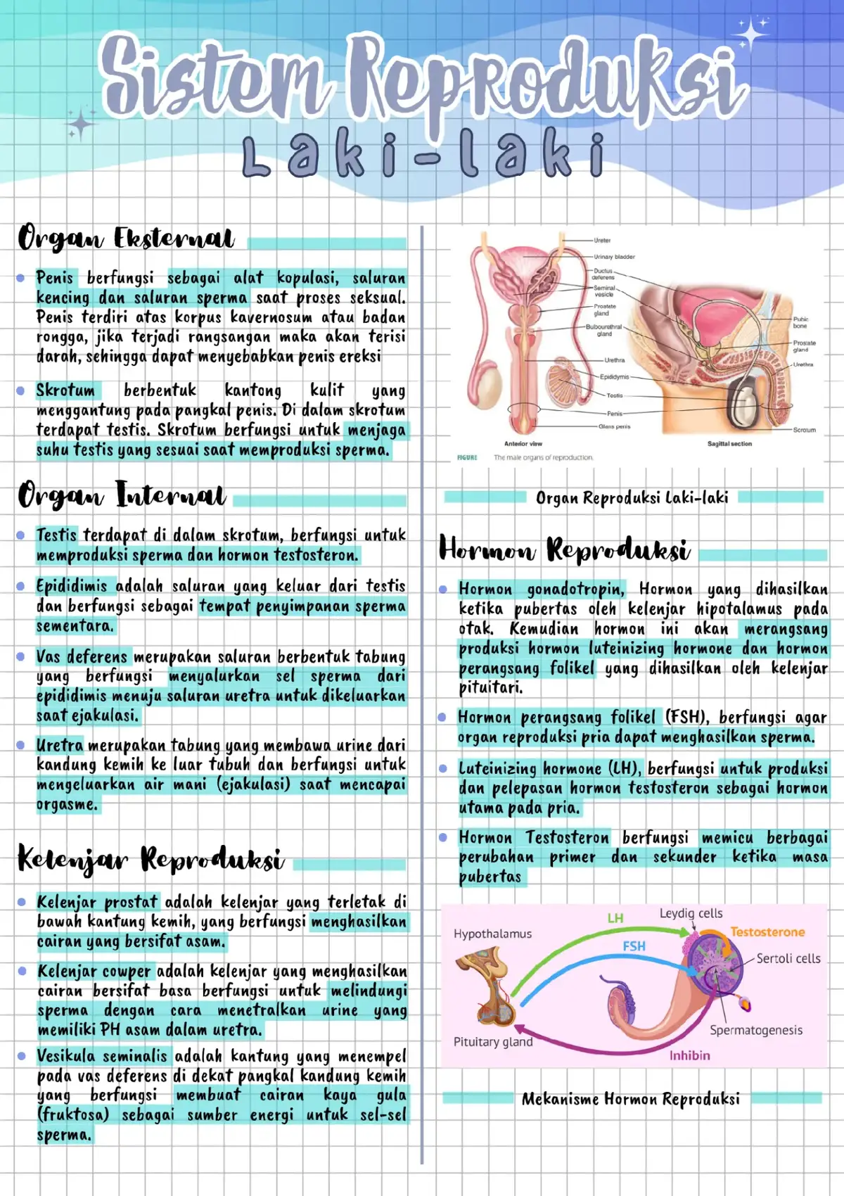 Ringkasan Materi Biologi Kelas 11 semoga bermanfaat  semangat untuk TKA nya 🔥 Next bahas apa lagi 🤔  #ringkasanmateri #TKA #foryoupage #biologi #rangkumanmateri 