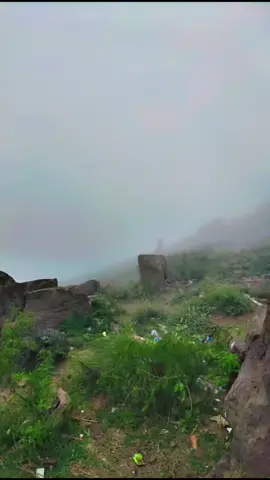 #viraltiktok #LanguageLearning #viralvideo #fortmunro 