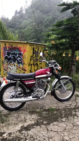 Peespekan sekitarmu  #psp #pspstyle #cbpsp #cbpspstyle #cbindonesia 