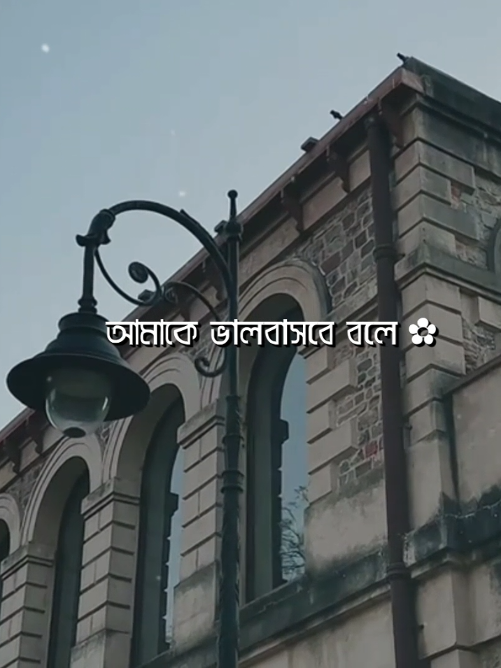 - তবু আমাকে ❤️‍🩹 - ভালোবাসবে বলে বাসলে না 😅✨ #lyricsvideo #lyrics_songs #lyrics #lyrics_nayem_890 #foryou 