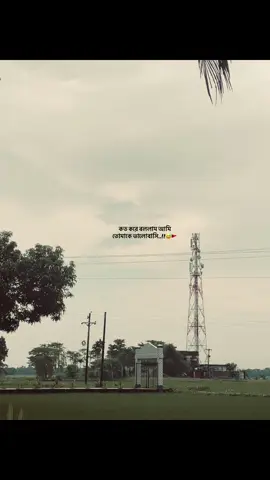 অনেক মানুষেরই কল্পনা পরিকল্পনা ডুবে থাকা ভালোবাসার কথা প্রকাশ করতে পারে না কেউ লিখতে জানে না আগ্রহী ছিল হয়তো সম্ভব ছিল না লেখা কারণ সাধারণ নয় শুধু সামান্য ছিল একজন শুধু সাধারণ নয় অশিক্ষিত বড়ং তাই প্রকাশ করা যায়নি এসব গল্প কবিতা লেখা আমার সাথে যায় না আমি কি কাউকে ভালোবাসি এমনটা কারো বিশ্বাস হয় না ভালোবাসার অযোগ্যহীন অপরাধী মনে হয় নিজেকে কোন অকারনেই কারো হাসির কারণ হতে চাই না আমি..!🥹😅 #evreyon #trendingsong 