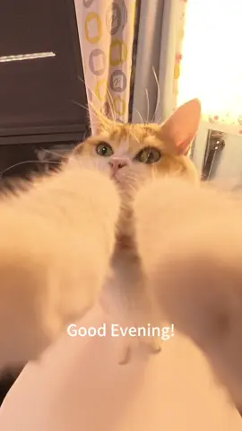 Hi Casey! This is your fourth order packing video, hope you like it!💕💕#luckyscoop #mysteryscoop #asmr #packingorders #mysterybox 