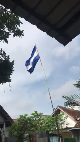 masih biru dan tetap biru💙#biru #psimjogja #yogyakartacity #brajamusti #mataram 