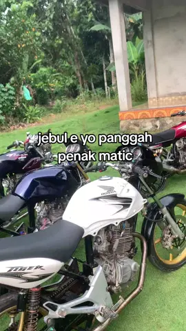 ijolno maticmu timbang mumet😭 #masukberanda #fyppppppppppppppppppppppp #matic #herex1200m #tigergank🤙 