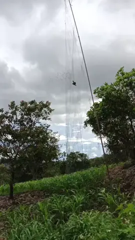 quá ok luôn anh em ơi 🦜🦜🦜