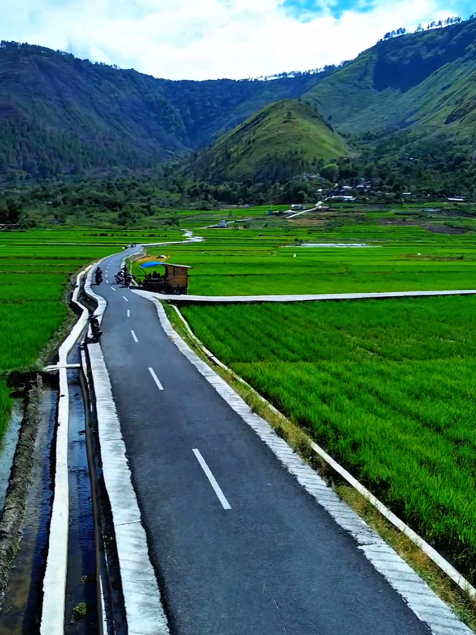 Pesona persawahan Desa Singkam, Kecamatan Sianjur Mulamula. Perpaduan sawah hijau dan pegunungan yg menjadi Spot viral yg banyak dikunjungi #samosirindah #wonderfulindonesia #jalandesasingkam #sianjurmulamula #hiddengems 