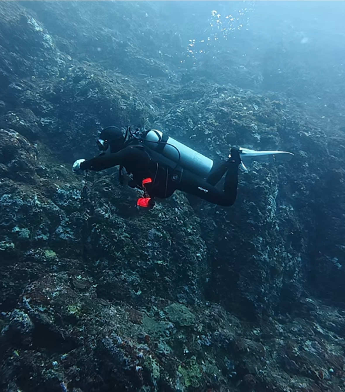 FYI: practice your streamline position and control your buoyancy, is one of the keys you'll need to be a great diver in the future🤙🏻 #scubadiving #fyp #scuba #padi #diving 