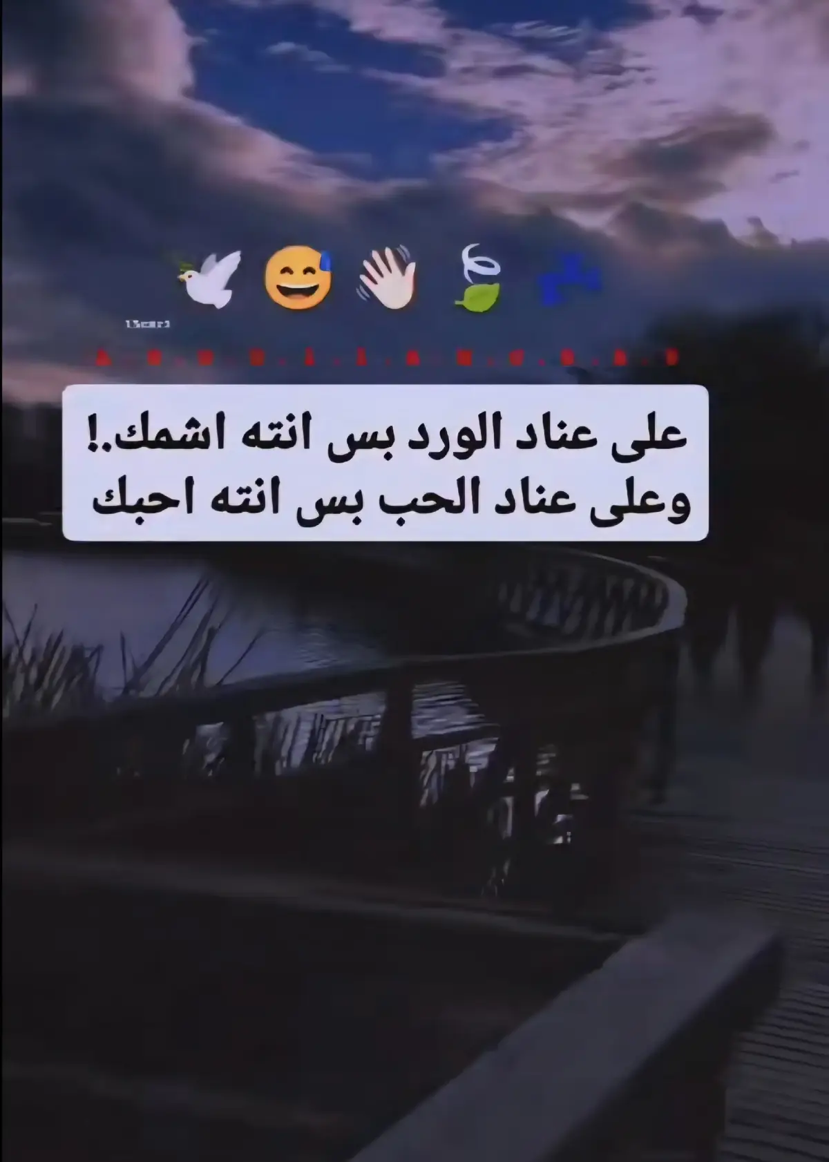 #تصميم_فيديوهات🎶🎤  #الشعراء_وذواقين_الشعر_الشعبي_سمير_صبيح_  #الشعب_الصيني_ماله_حل😂😂 