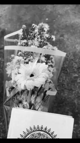 ziarah ke makam syg 💐🥺🤍 . . . . khlas itu bohong, syg 🥺 natanya aku selalu nangis  mengingat kenangan kita ☹️🥺 aku belum menemuka wanita sepertimu, kemarin udah syg, tapi dia nipu aku,  trnyata dia hnya prmainkan aku, dan dia juga udah pnya cwo ,ko tegah dia ya syg 🥺 betul kata mmah kamu ga mau lihat aku hancur kdpnya, maunya kamu lihat aku bahagia kdpanya 🫠 🤍  TPI syg bahagia itu kamu bawa ke sana 🥺 😭  aku hanya bisa nangis dan nangis  smpai ketemu diwaktu yang Alloh janjikan syang 🥺 👋 🤍 💐  #alfatihah #rip #kangenkamu  #ldrbumisurga😭👼🥺   @kumenda_ 