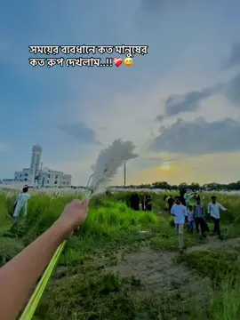 সময়ের ব্যবধানে কত মানুষের কত রুপ দেখলাম..!!❤️‍🩹😅#foryou #motivation # @S O J I B # @Ꭼ ᴍ ʀ ᴀ ɴ 🍃 #fyppppppppppppppppppppppp #tjjupiterreborn # @꧁༒☬gѕχя-тσρ-166+༒꧂🚀 #yfortheyoung 