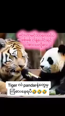 #အားလုံးကိုပျော်စေချင်လို့😊 #😂😂😂 