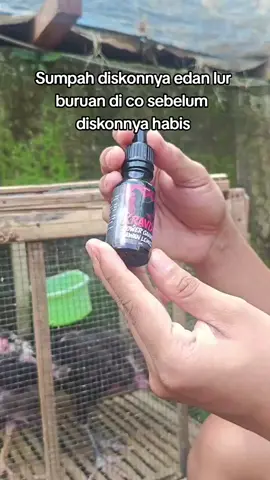 Kalian dapet harga berapa?