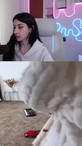 😂