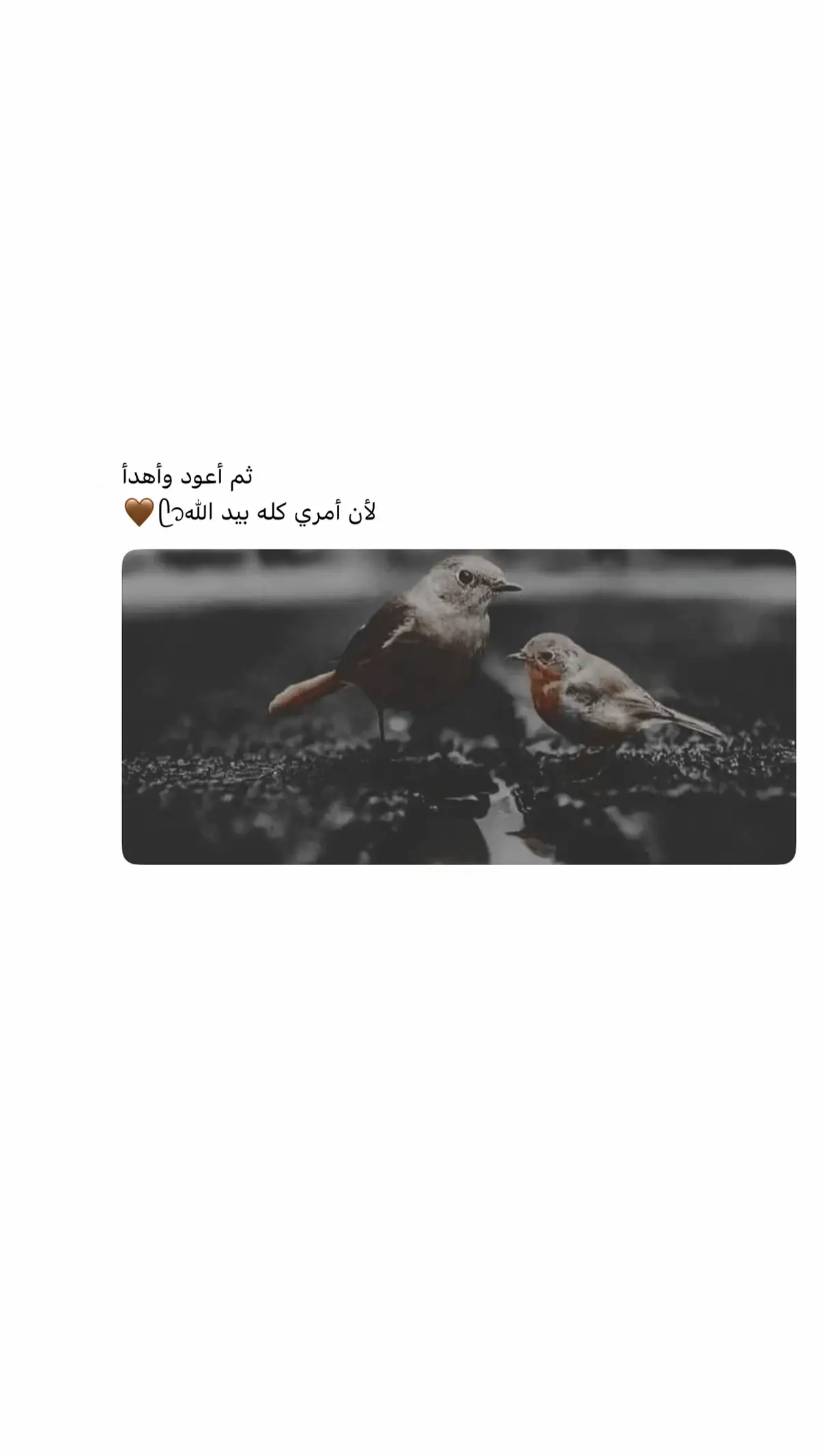 #اكسبلور #قرآن 