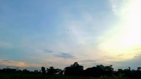 তকে অনেক মিছ করি@BiNGooo🥂  #trending #foryou #creatorsearchinsights #fyp #creatorsearchinsights 