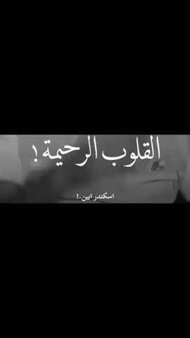 #اكسبلور #فولو  الشاعر أبو غزل🚸🔥