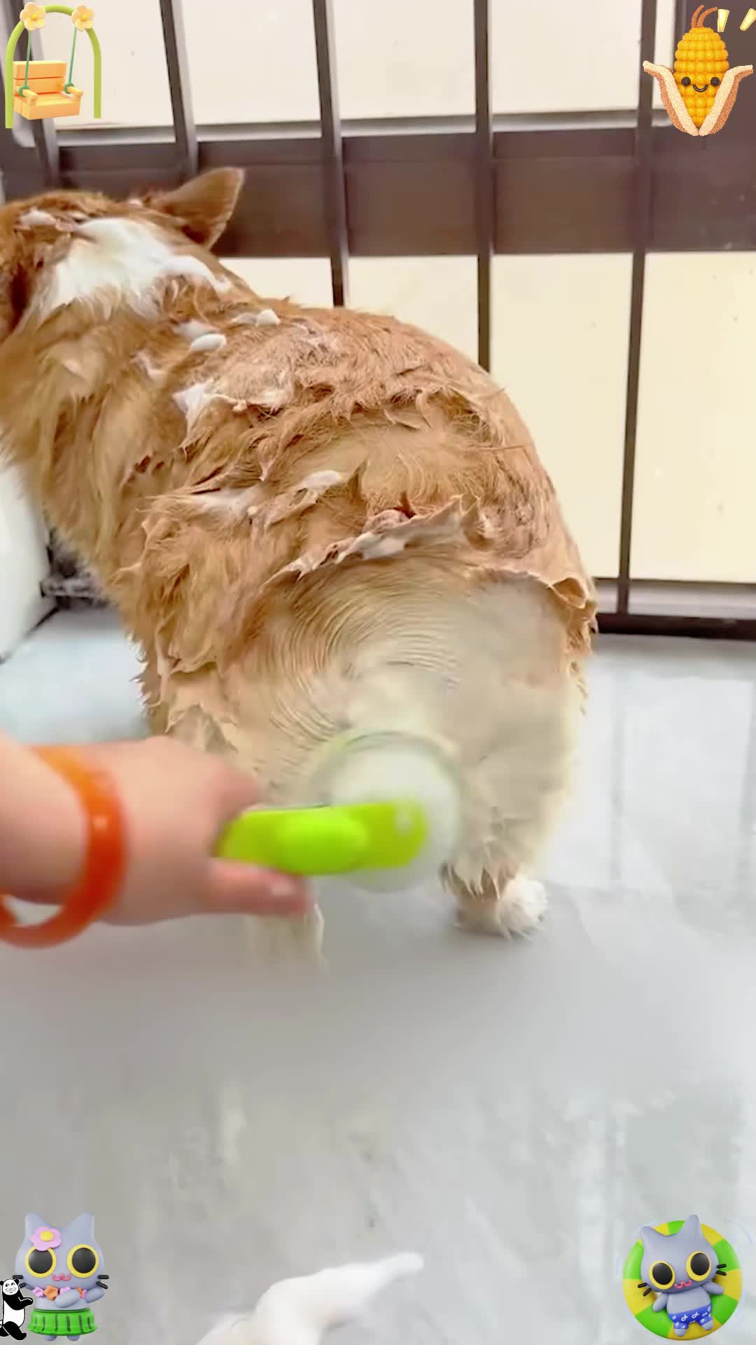 แปรงอาบน้ำราคาดีใช้ง่ายนี้ช่วยให้อาบน้ำให้น้องหมาได้ง่ายพร้อมนวดไปด้วย 