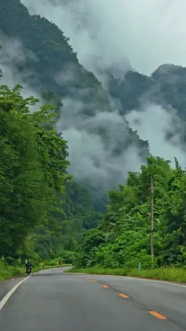 🌿🌿🏕🏞☕️ขับรถชมวิวจิบกาแฟ ฟังเพลง#BridgeHillCafe💚 #เขาสก #สุราษฎร์ธานี🌿🍃 