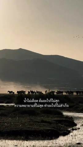 น้ำไม่เดือด ต้มอะไรก็ไม่สุก ความพยายามที่ไม่สุด ทำอะไรก็ไม่สำเร็จ #สตอรี่ความรู้สึก 