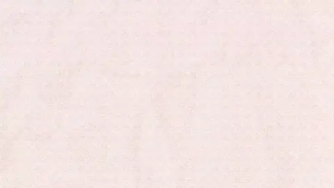 tugas video bahasa inggris  nama : olivia nevlin vania putri  kelas : VIII D no.absen : 27 #spentree #tugassekolah  #tugasbahasainggris 