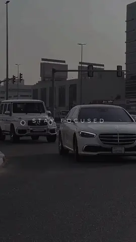 🦁#StayFocused #FocusOnSuccess #DisciplineEqualsFreedom #SuccessMindset #NoLimits