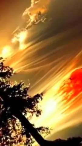 Cuộc sống muôn màu. #2025bride.