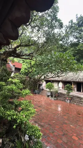 Về chùa nghe tiếng tụng kinh, thấy sư quét lá giật mình nam mô... Trần gian một mớ xô bồ, xin sư quét hộ hồ đồ trong con.... #chuathay #vulanbaohieu 