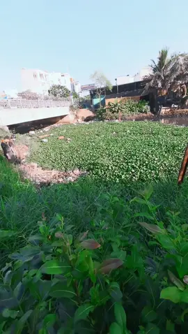 #cleanriver #clean #garbage #satisfyingcleans 