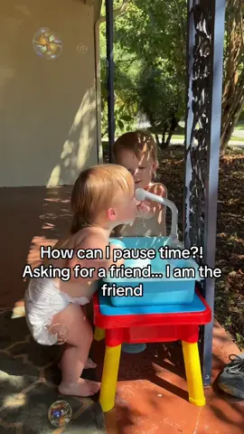 Watching them play together makes my heart so happy #momtok #toocute #soloved #cute 