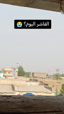 بل الفاشر اليوم اليوم احد 