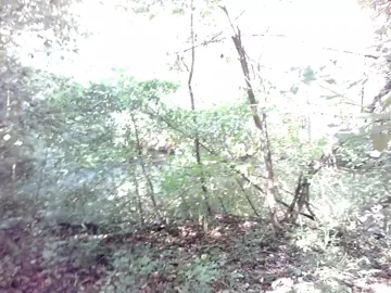 #real #numbpixels #digitalcamera #nostalgia 