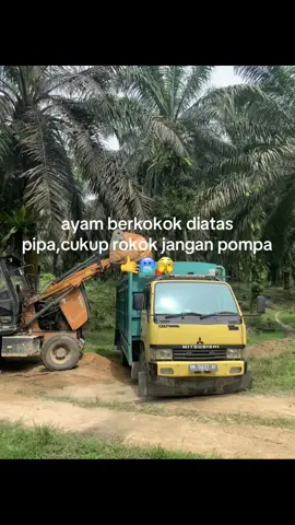 #fyp #foryoupage #munculdiberanda #truksawit #viral #munculbrandafyp #setoritruk #pompa#