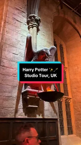 The magical world of Harry Potter! ✨🪄#HarryPotter #WarnerBrothersStudio #Magic #Hogwarts #Potterheads 